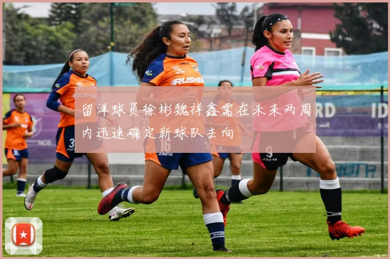 留洋球员徐彬魏祥鑫需在未来两周内迅速确定新球队去向