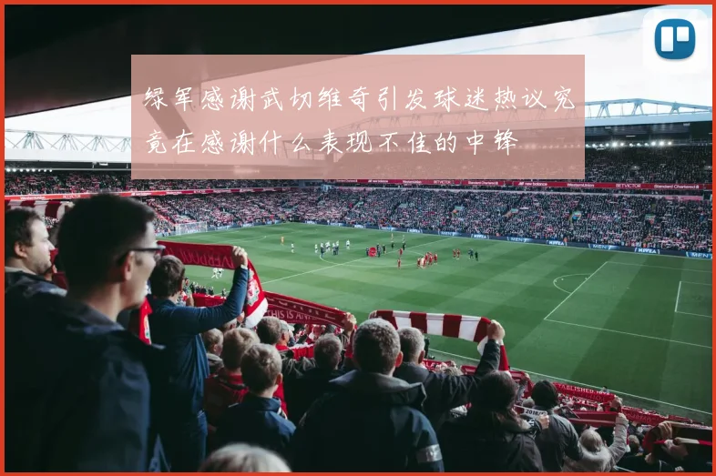 绿军感谢武切维奇引发球迷热议究竟在感谢什么表现不佳的中锋