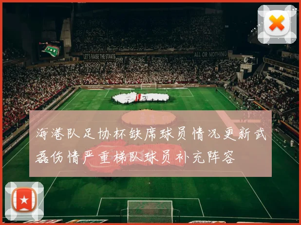 海港队足协杯缺席球员情况更新武磊伤情严重梯队球员补充阵容