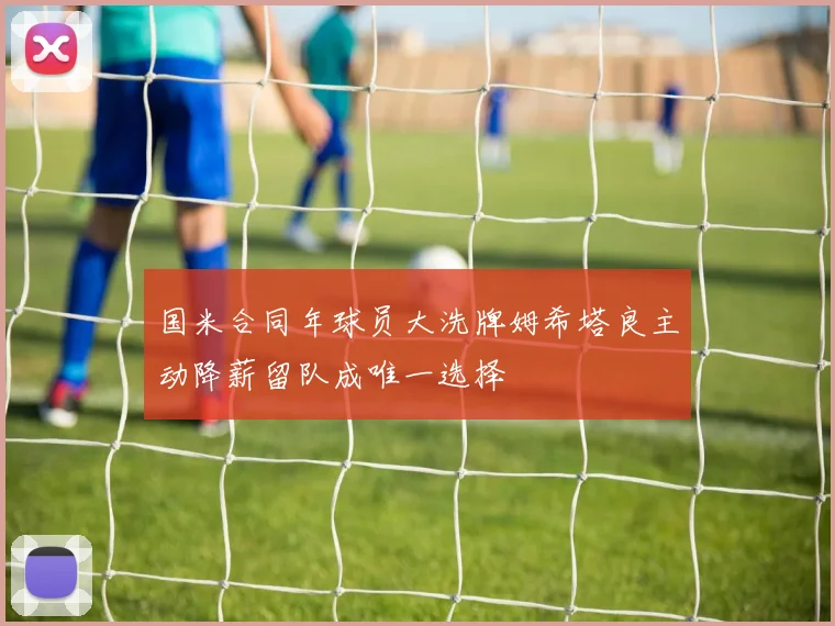 国米合同年球员大洗牌姆希塔良主动降薪留队成唯一选择